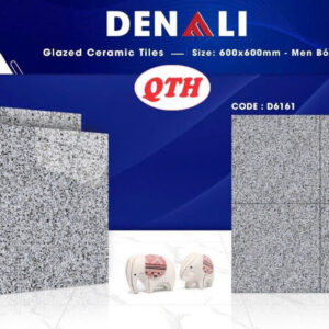 Combo gạch Denaly 60x60 D6161